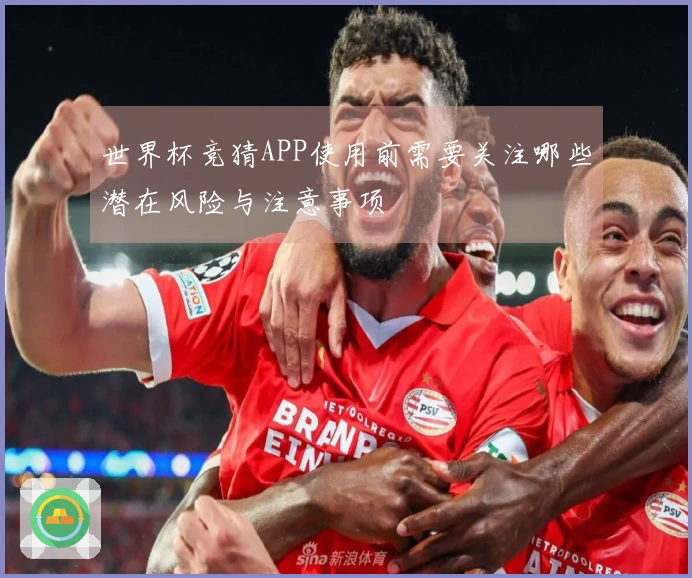 世界杯竞猜APP使用前需要关注哪些潜在风险与注意事项