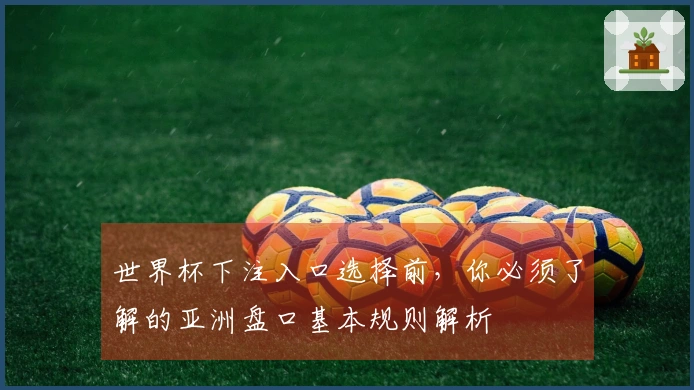 世界杯下注入口选择前，你必须了解的亚洲盘口基本规则解析