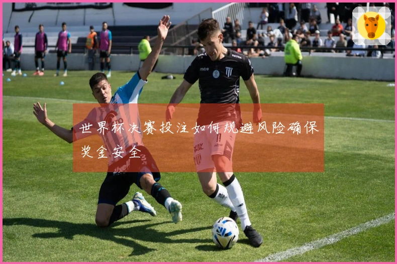 世界杯决赛投注如何规避风险确保奖金安全