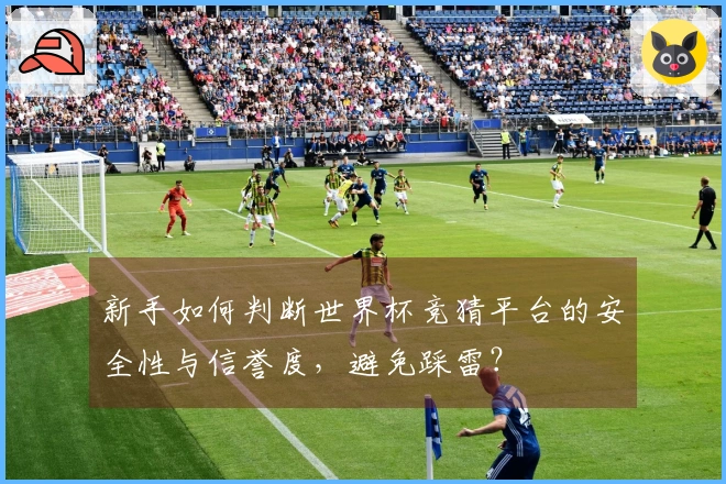新手如何判断世界杯竞猜平台的安全性与信誉度，避免踩雷？