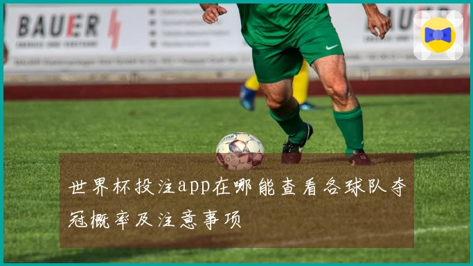 世界杯投注app在哪能查看各球队夺冠概率及注意事项