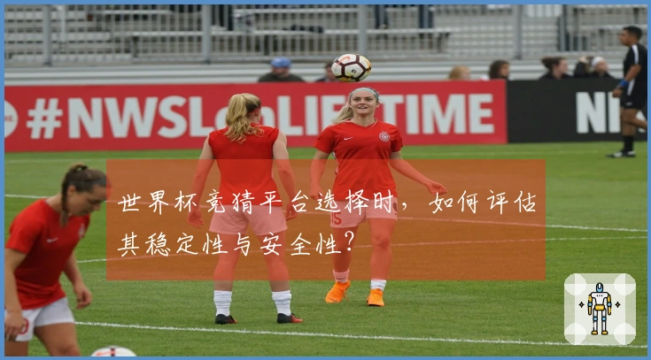 世界杯竞猜平台选择时，如何评估其稳定性与安全性？