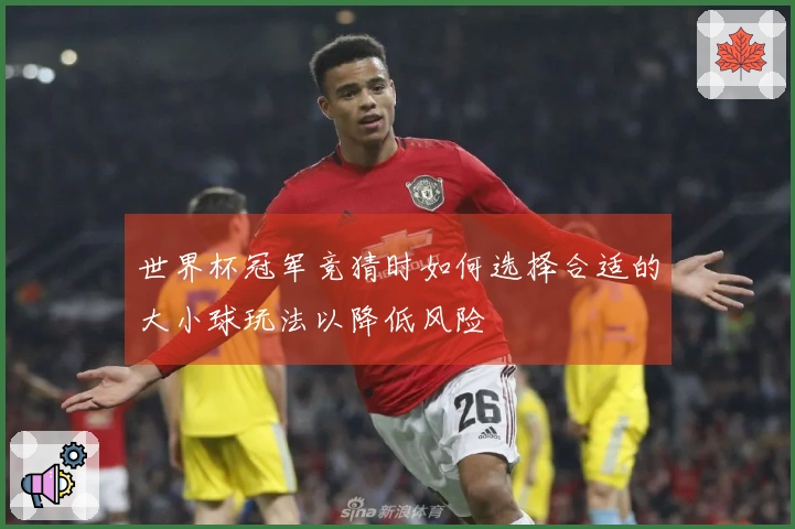 世界杯冠军竞猜时如何选择合适的大小球玩法以降低风险