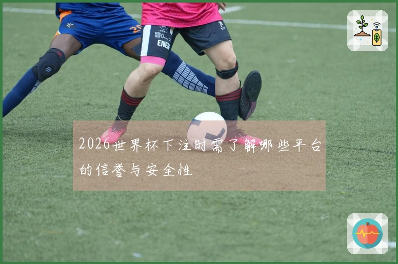 2026世界杯下注时需了解哪些平台的信誉与安全性