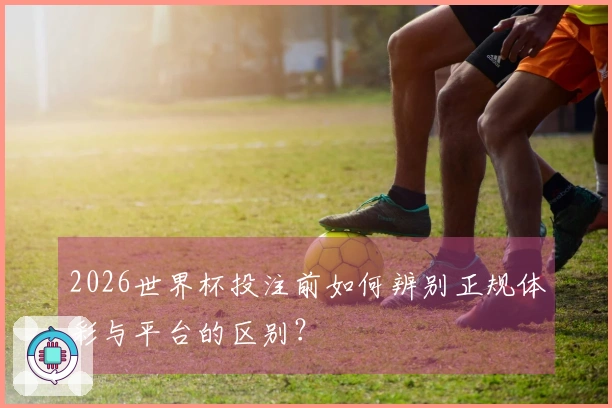 2026世界杯投注前如何辨别正规体彩与平台的区别？