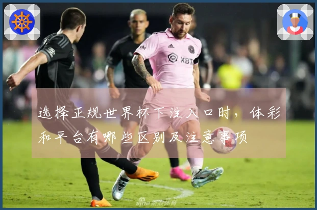 选择正规世界杯下注入口时，体彩和平台有哪些区别及注意事项