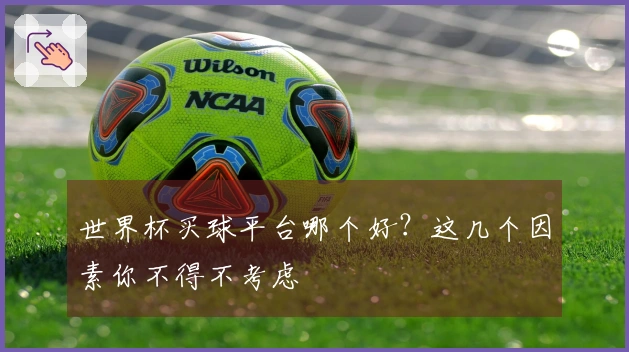 世界杯买球平台哪个好？这几个因素你不得不考虑