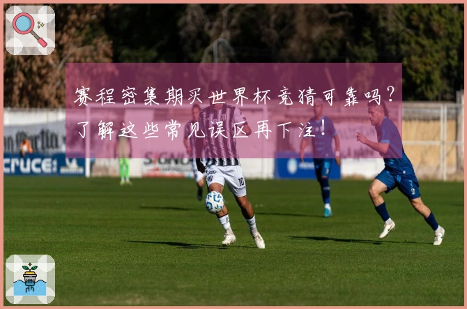 赛程密集期买世界杯竞猜可靠吗？了解这些常见误区再下注！