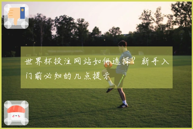 世界杯投注网站如何选择？新手入门前必知的几点提示