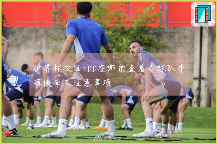 世界杯投注app在哪能查看各球队夺冠概率及注意事项