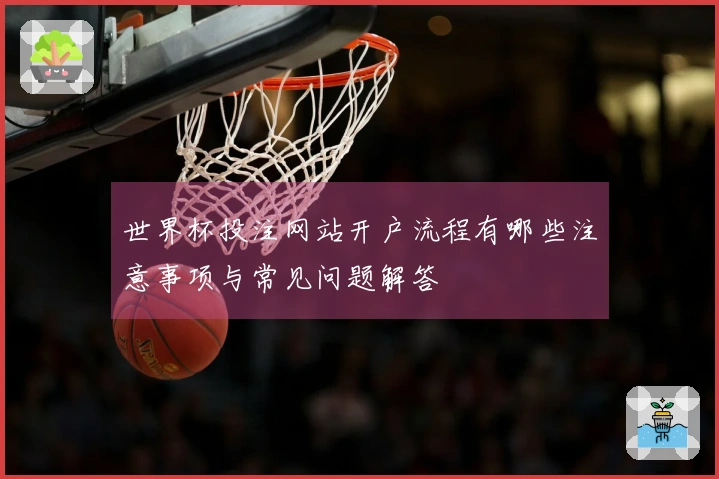世界杯投注网站开户流程有哪些注意事项与常见问题解答