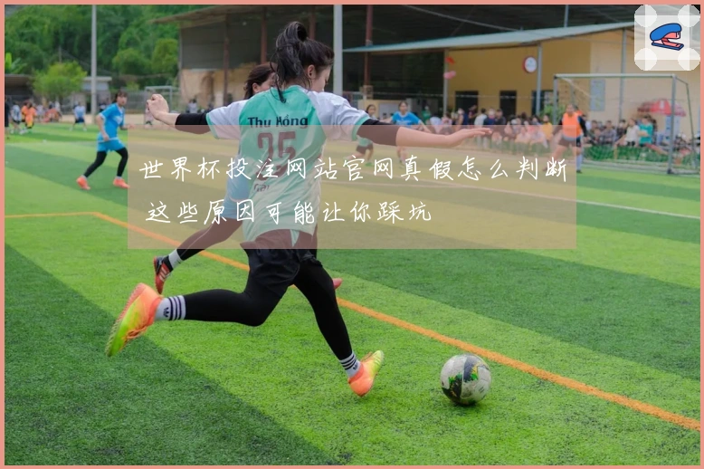 世界杯投注网站官网真假怎么判断 这些原因可能让你踩坑