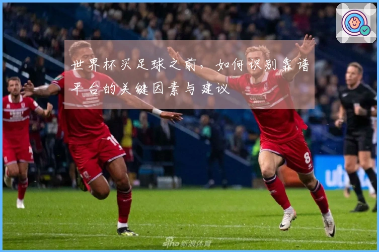 世界杯买足球之前，如何识别靠谱平台的关键因素与建议