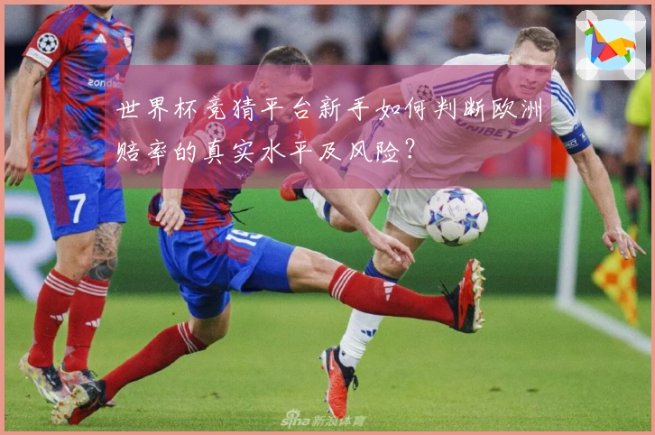 世界杯竞猜平台新手如何判断欧洲赔率的真实水平及风险？