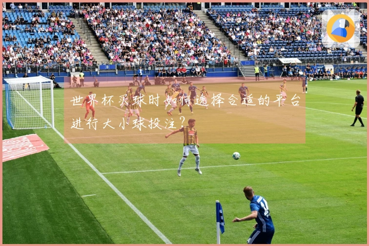 世界杯买球时如何选择合适的平台进行大小球投注？