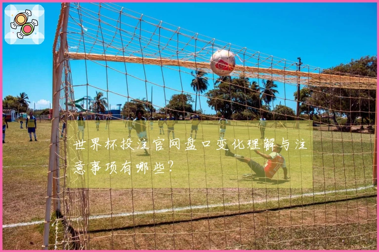 世界杯投注官网盘口变化理解与注意事项有哪些？