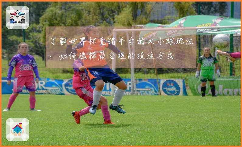了解世界杯竞猜平台的大小球玩法,如何选择最合适的投注方式