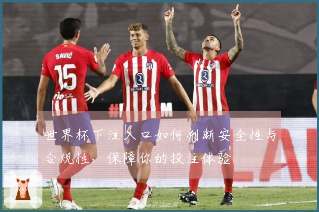 世界杯下注入口如何判断安全性与合规性，保障你的投注体验
