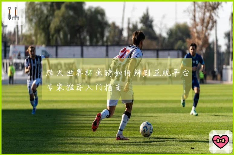 烽火世界杯竞猜如何辨别正规平台专家推荐入门指南