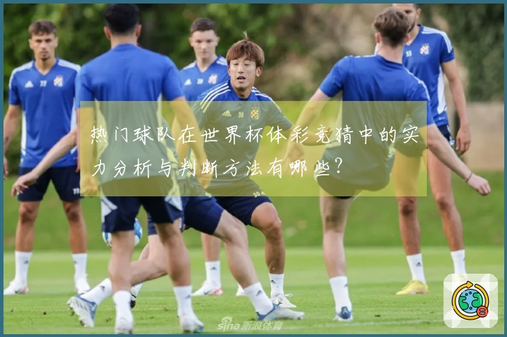 热门球队在世界杯体彩竞猜中的实力分析与判断方法有哪些？