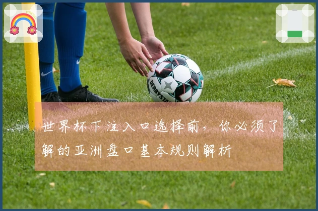 世界杯下注入口选择前，你必须了解的亚洲盘口基本规则解析