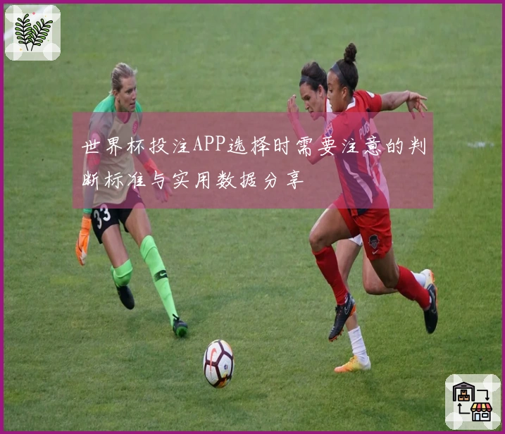 世界杯投注APP选择时需要注意的判断标准与实用数据分享