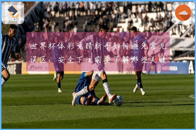 世界杯体彩竞猜新手如何避免常见误区,安全下注前要了解哪些关键点