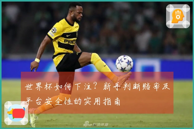 世界杯如何下注？新手判断赔率及平台安全性的实用指南