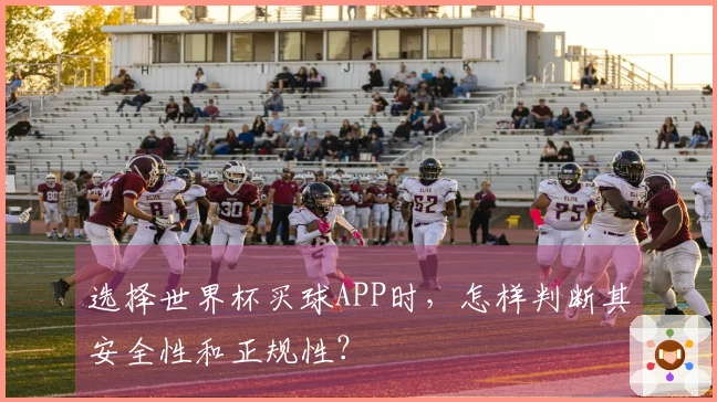 选择世界杯买球APP时，怎样判断其安全性和正规性？