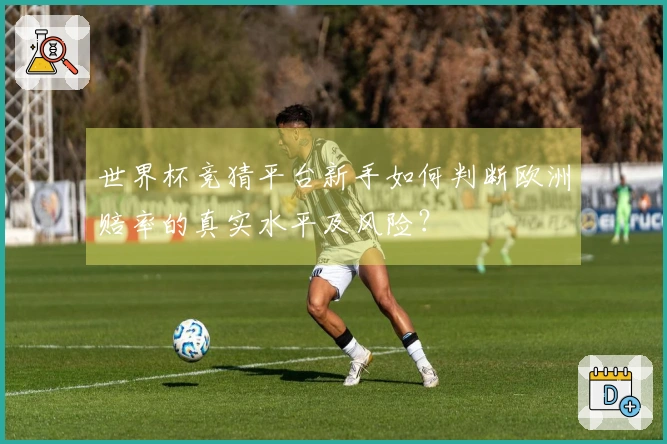 世界杯竞猜平台新手如何判断欧洲赔率的真实水平及风险？