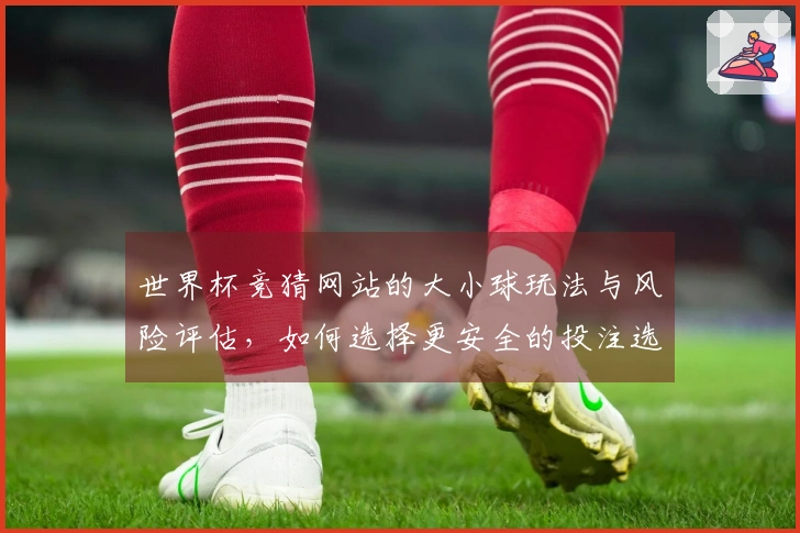 世界杯竞猜网站的大小球玩法与风险评估，如何选择更安全的投注选项？
