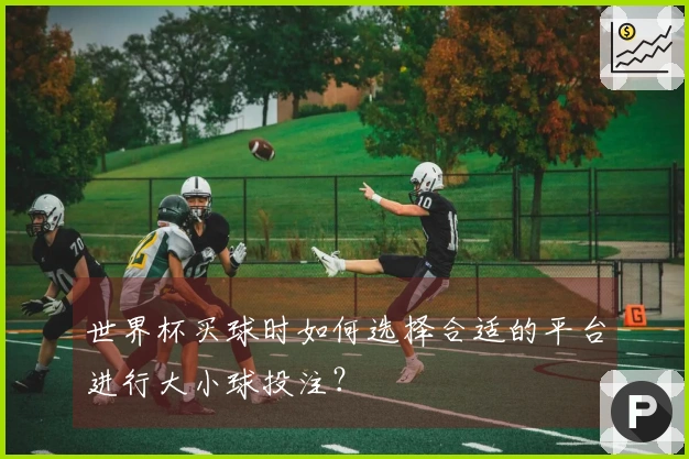 世界杯买球时如何选择合适的平台进行大小球投注？