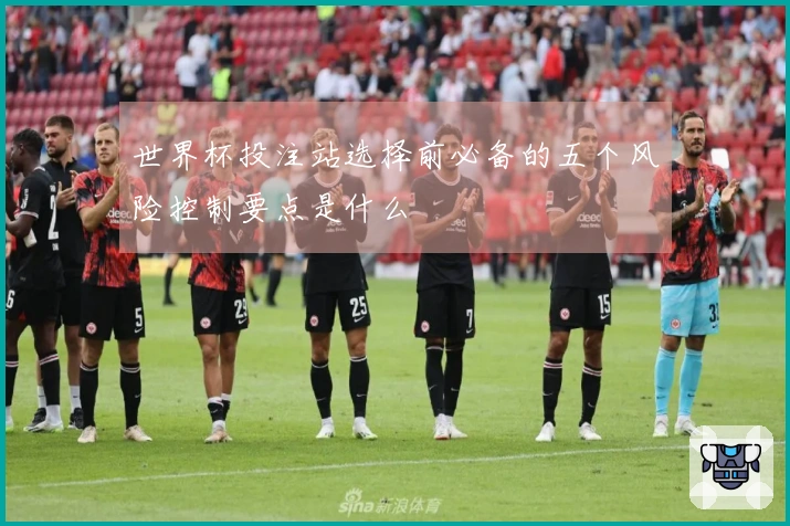 世界杯投注站选择前必备的五个风险控制要点是什么