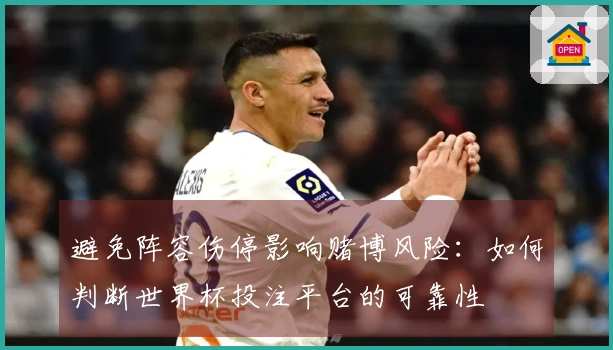 避免阵容伤停影响赌博风险：如何判断世界杯投注平台的可靠性