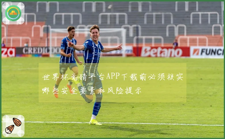 世界杯竞猜平台APP下载前必须核实哪些安全要素和风险提示
