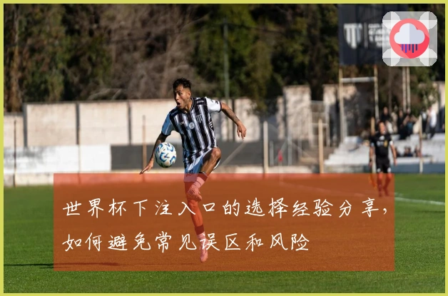 世界杯下注入口的选择经验分享，如何避免常见误区和风险