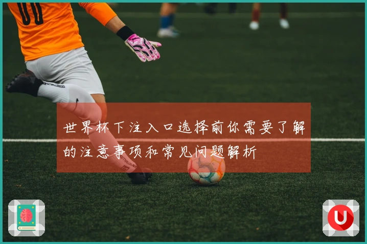 世界杯下注入口选择前你需要了解的注意事项和常见问题解析