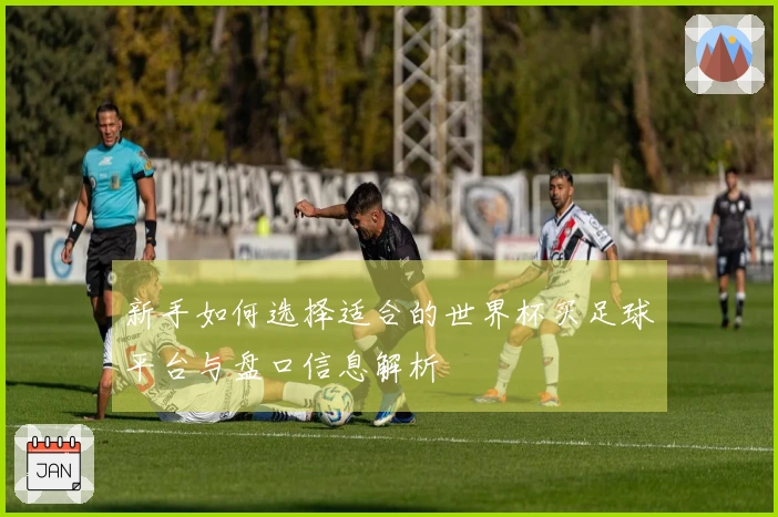 新手如何选择适合的世界杯买足球平台与盘口信息解析