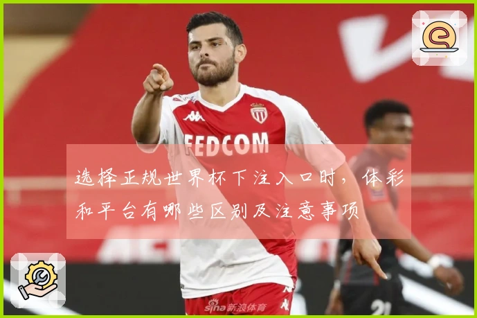 选择正规世界杯下注入口时，体彩和平台有哪些区别及注意事项