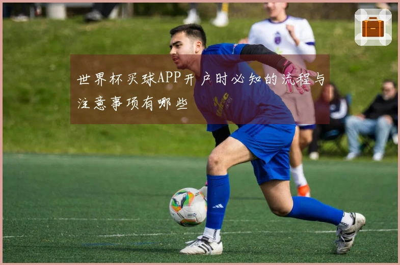 世界杯买球APP开户时必知的流程与注意事项有哪些
