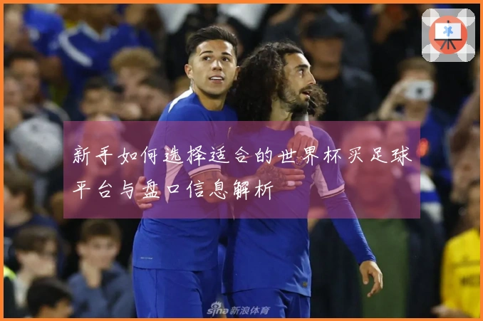 新手如何选择适合的世界杯买足球平台与盘口信息解析