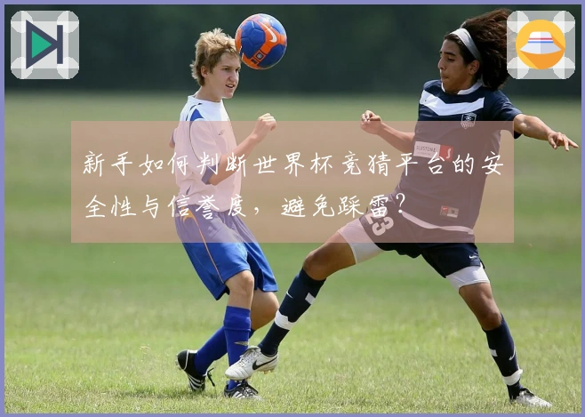 新手如何判断世界杯竞猜平台的安全性与信誉度，避免踩雷？