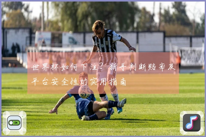 世界杯如何下注？新手判断赔率及平台安全性的实用指南