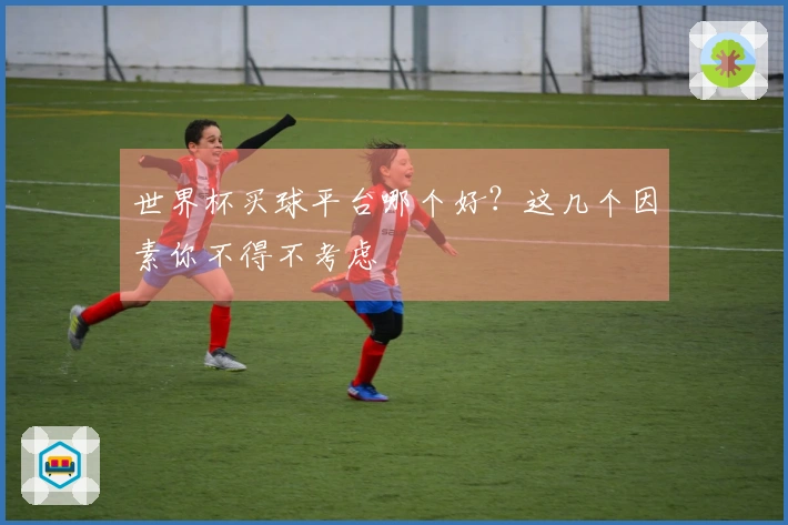 世界杯买球平台哪个好？这几个因素你不得不考虑