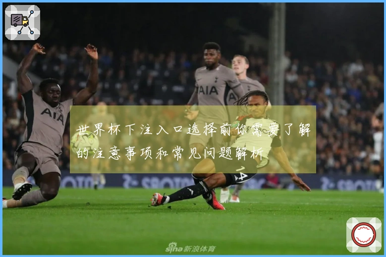 世界杯下注入口选择前你需要了解的注意事项和常见问题解析