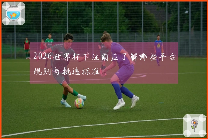 2026世界杯下注前应了解哪些平台规则与挑选标准
