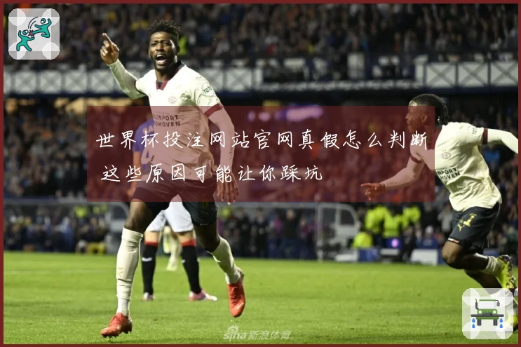 世界杯投注网站官网真假怎么判断 这些原因可能让你踩坑