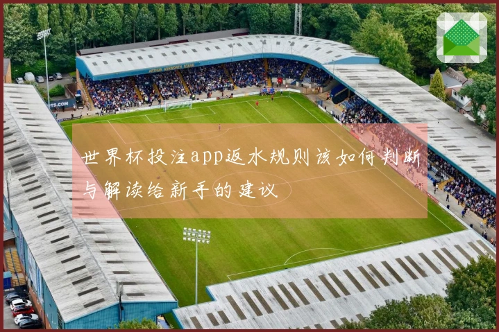 世界杯投注app返水规则该如何判断与解读给新手的建议