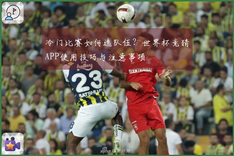 冷门比赛如何选队伍？世界杯竞猜APP使用技巧与注意事项