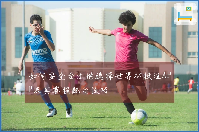 如何安全合法地选择世界杯投注APP及其赛程配合技巧